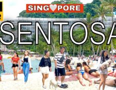 Descubre el fascinante buceo en la Isla de Sentosa: una aventura turística en Singapur