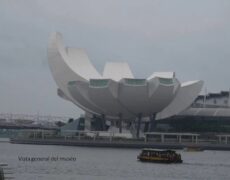 Descubre el fascinante Museo de Arte y Ciencia en Marina Bay Sands, la joya turística de Singapur