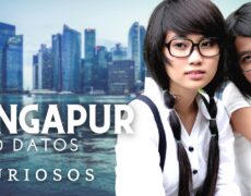 Explorando la Casa de Peranakan: Una inmersión cultural en Singapur