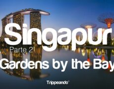 Turismo nocturno en Singapur: Descubre los mejores bares y clubes en la azotea