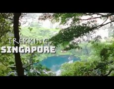 Descubre la emoción de la escalada en roca en Bukit Timah, la joya del turismo de aventura en Singapur