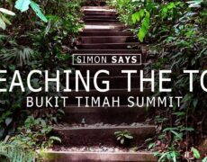 Descubre la emocionante espeleología en la Cueva de Bukit Timah en Singapur: una aventura única en tu viaje de turismo