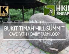 Descubre la emocionante espeleología en la Cueva de Bukit Timah: una aventura imperdible en tu viaje a Singapur