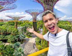 Descubre la naturaleza urbana de Singapur: turismo en el Jardín Botánico y el Parque East Coast