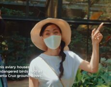 Descubre la maravilla del Parque Jurong Bird en Singapur: una experiencia imperdible para tu próximo viaje de turismo