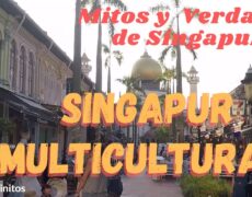 Descubre la rica cultura de Singapur: turismo multicultural y hospitalidad local