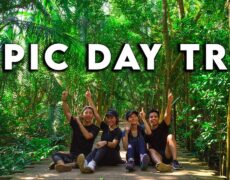 Descubre la belleza natural de la Isla Pulau Ubin en Singapur: Guía de turismo y viaje