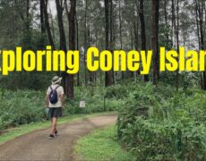 Descubre la belleza turística de las Islas Coney Singapur en tu próximo viaje