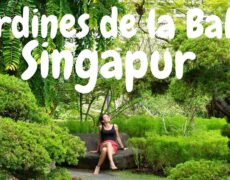 Descubre los impresionantes Jardines de la Bahía en Singapur: el destino turístico perfecto para tu próximo viaje