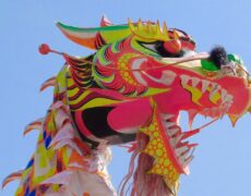 Descubre la espectacular celebración del Año Nuevo Chino en Singapur: desfiles, leones de danza y turismo