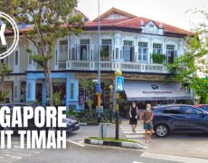 Descubre la majestuosa Montaña Bukit Timah en Singapur: un destino imperdible para los amantes del turismo y los viajes