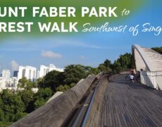 Descubre la emocionante aventura del parapente en el Monte Faber de Singapur: un destino imperdible para tu viaje de turismo