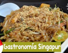 Descubre la gastronomía de Singapur: Un viaje por el Museo de la Comida