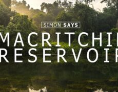 Descubre la naturaleza en Singapur: Guía para recorrer el Parque MacRitchie
