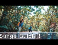 Descubre la belleza natural de Singapur: Reserva de Sungei Buloh, un destino imperdible para los amantes del turismo y la naturaleza