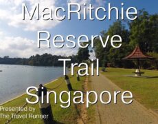 Descubre la magia del senderismo en el Parque Nacional de MacRitchie en Singapur: Un destino imperdible para los amantes del turismo y la naturaleza