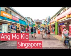 Descubre el encanto de Ang Mo Kio: Un destino imperdible para el turismo en Singapur