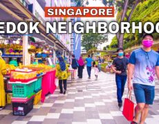Descubre el encanto de Bedok, el destino perfecto para tu próximo viaje de turismo en Singapur