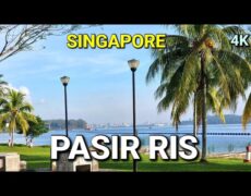 Descubre el encanto de Pasir Ris: Turismo y Viaje en Singapur