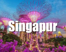 Descubre los secretos del turismo en Singapur: el destino perfecto para tu próximo viaje