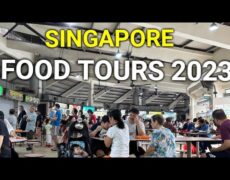 Descubre los encantos del turismo en Tampines, Singapur: una experiencia de viaje inolvidable