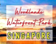 Descubre la magia del turismo en Woodlands, Singapur: tu próximo destino de viaje