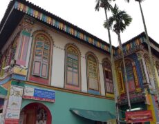 Descubre la rica diversidad étnica de Singapur: Turismo en los barrios culturales de Chinatown, Little India y Kampong Glam
