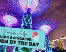 Descubre la belleza del Parque Nacional Gardens by the Bay en tu próximo viaje a Singapur: una experiencia de turismo imperdible