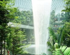 Descubre la magia del turismo en Gardens by the Bay: el imprescindible parque nacional en Singapur