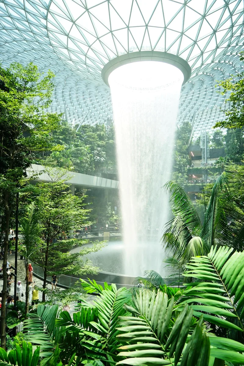 green trees near water fountain